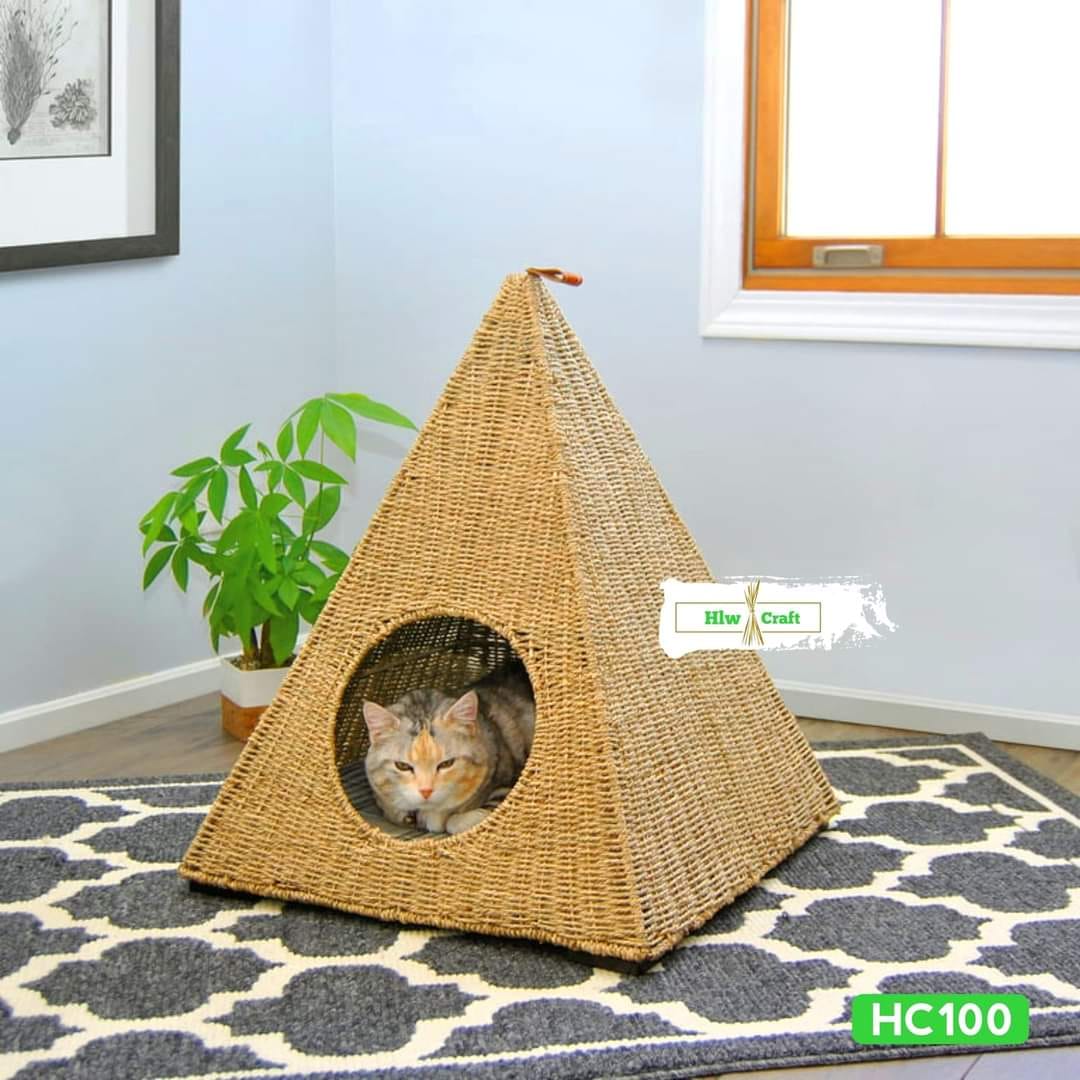 HC100