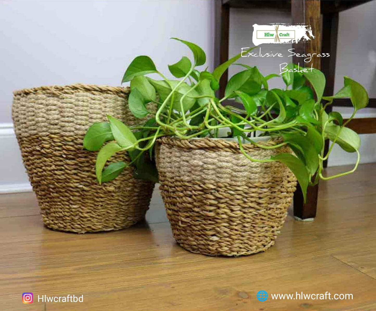 HC111 Full Set (2 PCS)