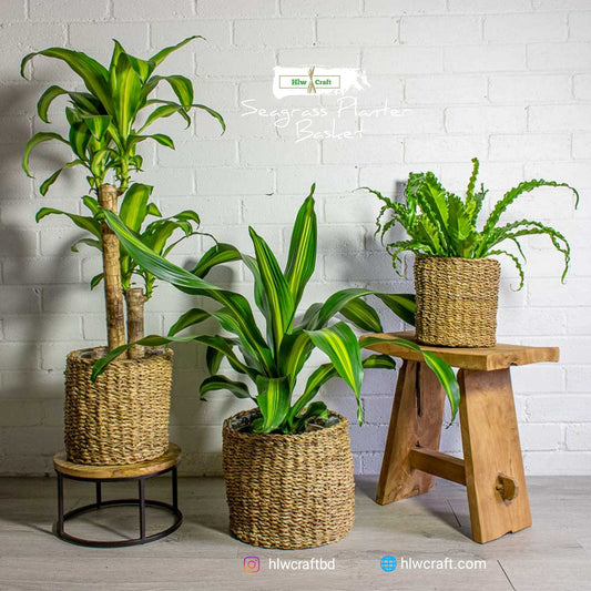 HC116 Full Set (3 PCS)