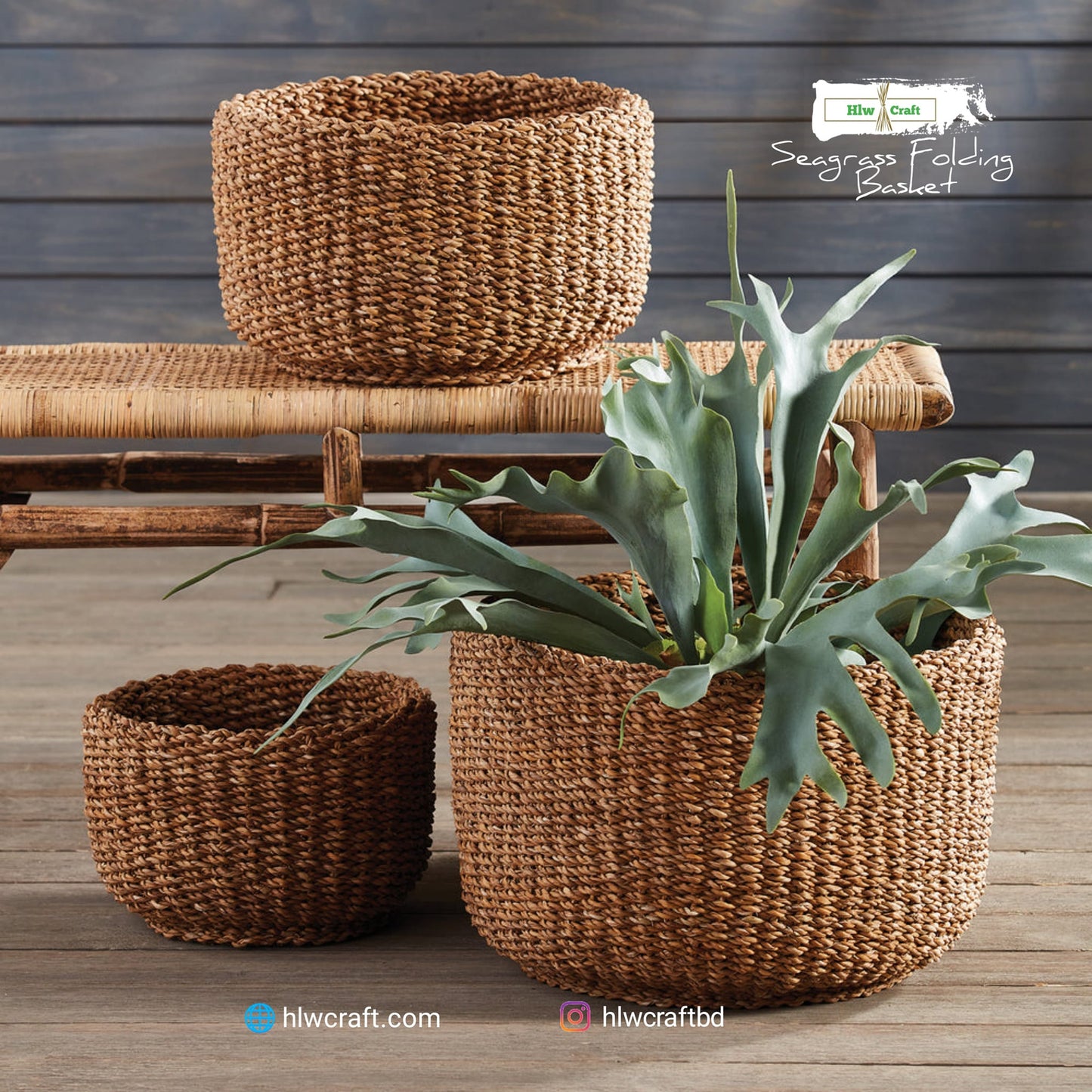 HC22 Full Set (3 PCS)