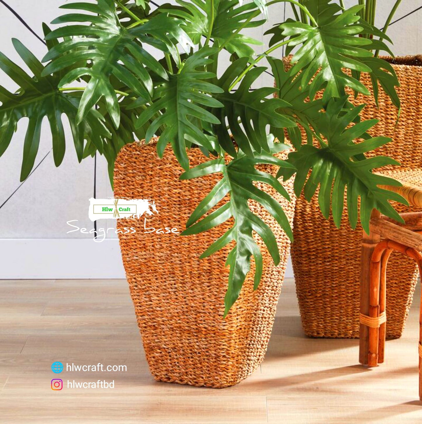 HC24 Full Set (2 PCS)