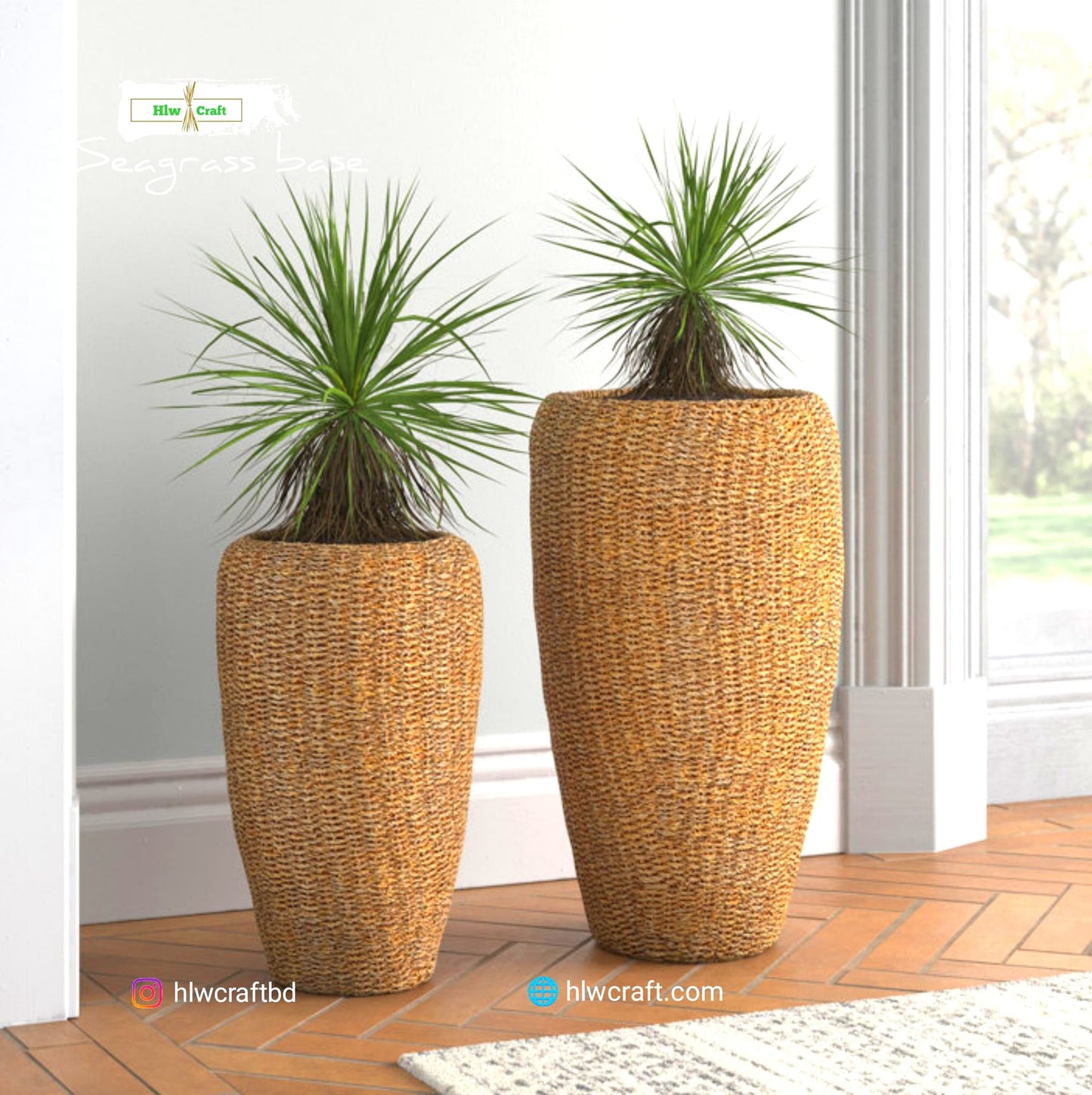 HC25 Full Set (2 PCS)