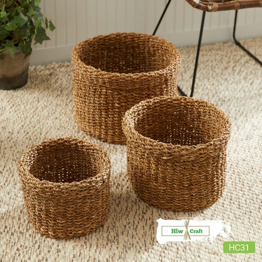 HC31 Full Set (3 PCS)