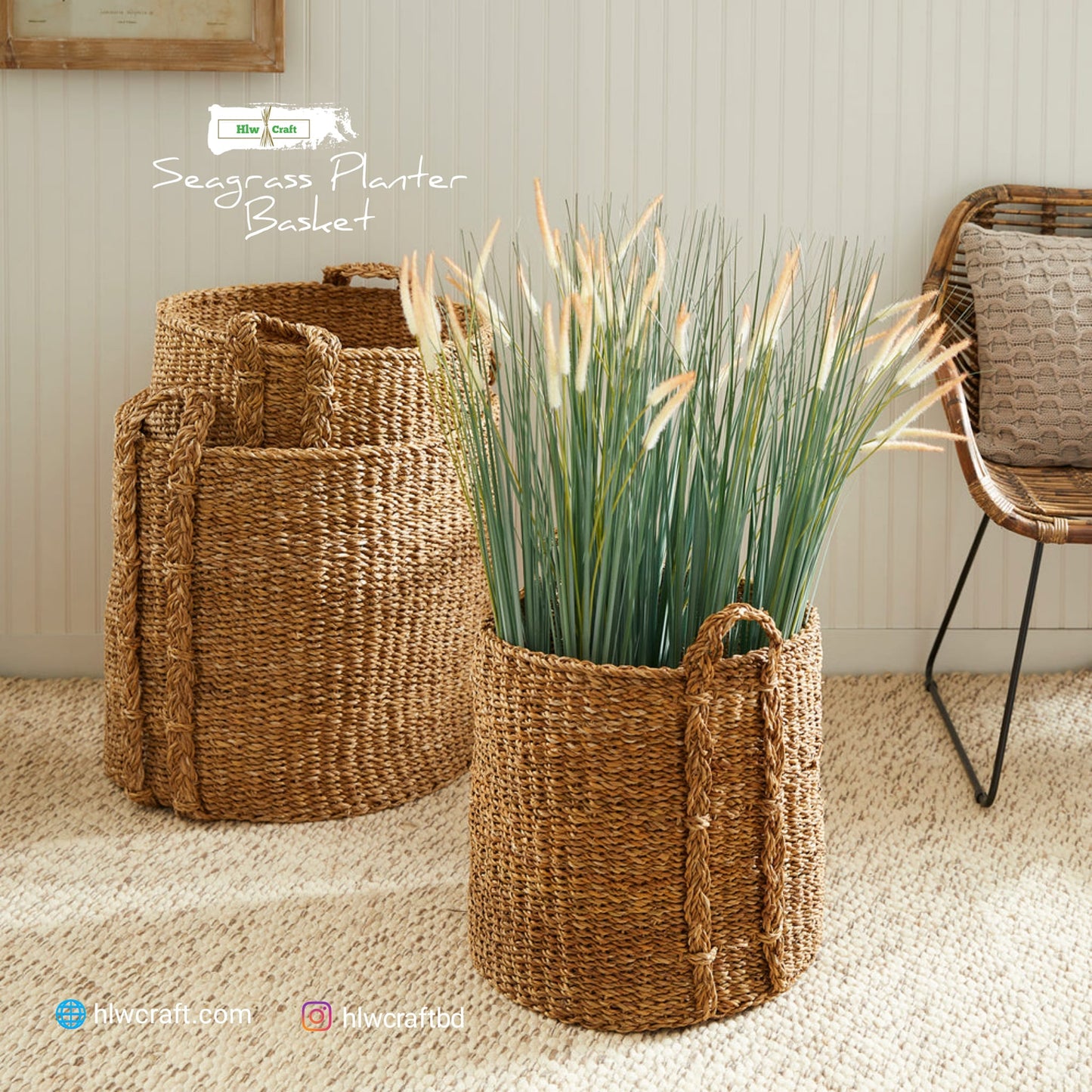 HC33 Full Set (3 PCS)