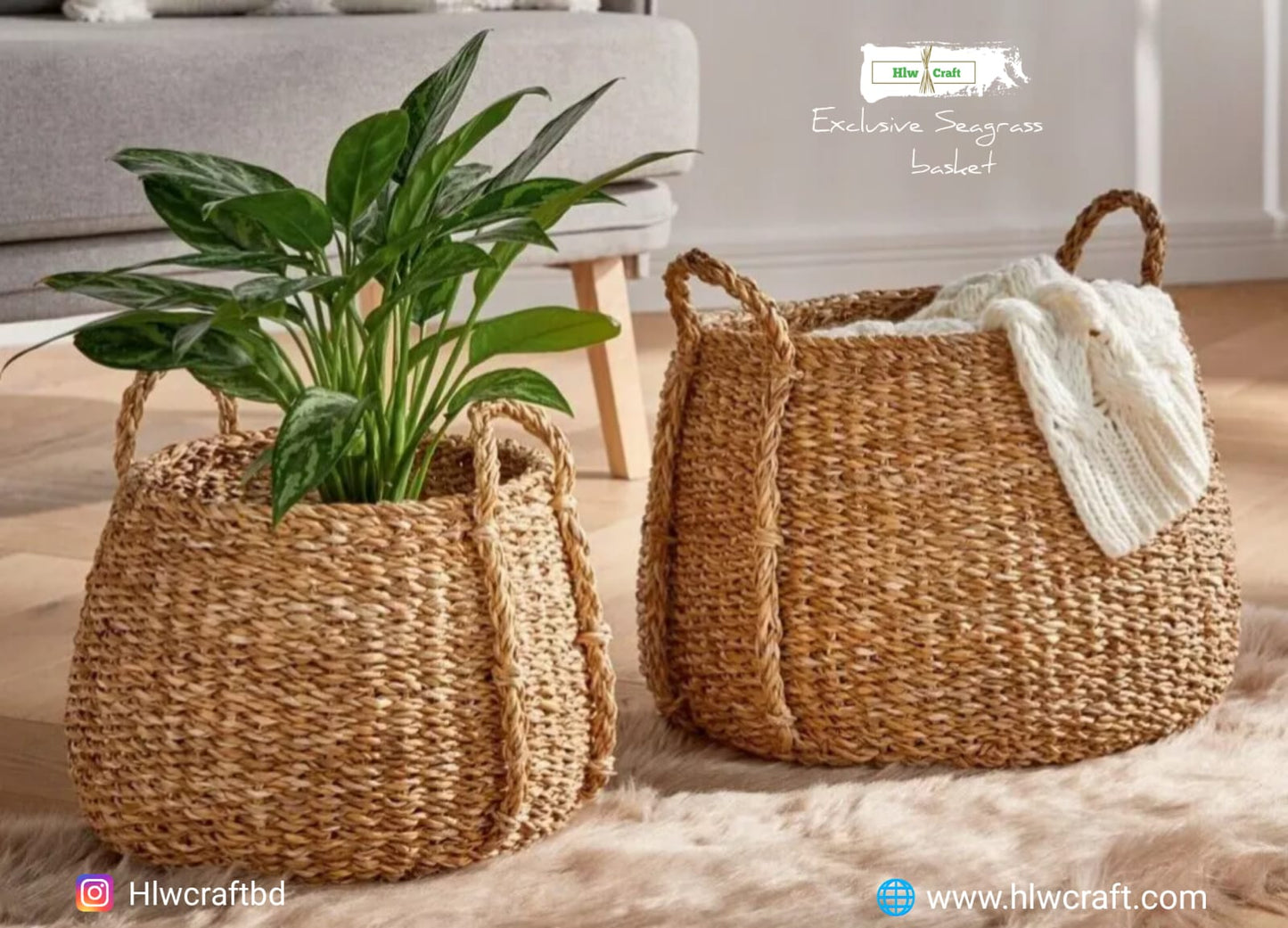 HC56 Full Set (3 PCS)