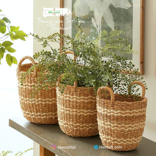 HC58 Full Set (3 PCS)