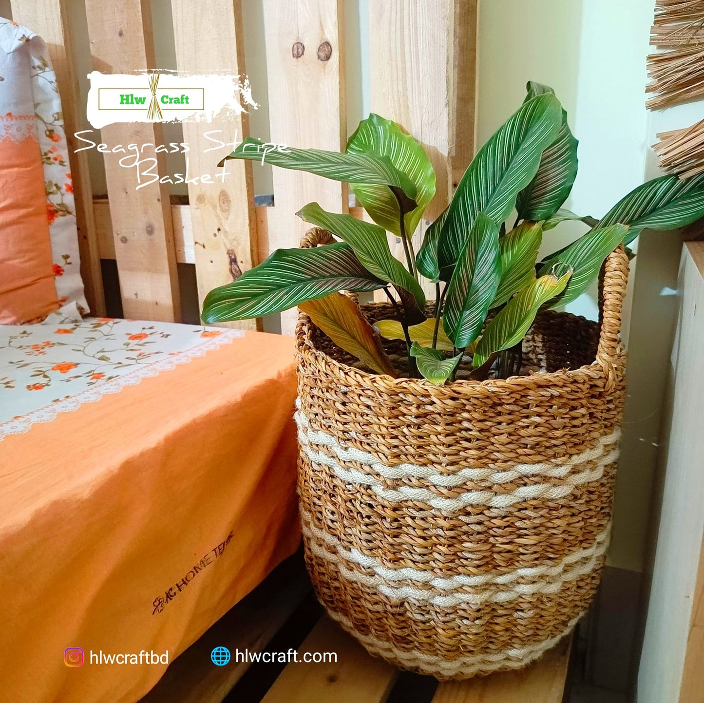 HC58 Full Set (3 PCS)