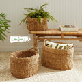 HC23 Full Set (3 PCS)