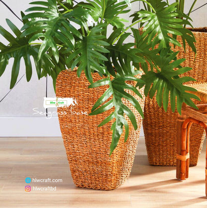 HC24 Full Set (2 PCS)