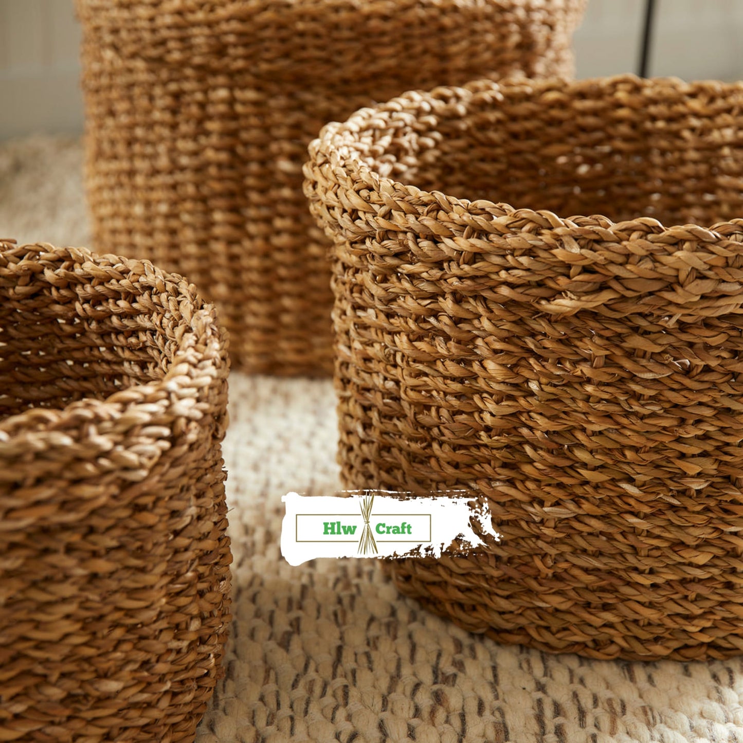 HC31 Full Set (3 PCS)