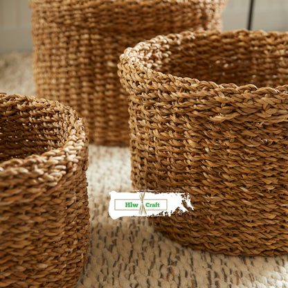 HC31 Full Set (3 PCS)