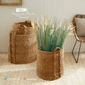 HC33 Full Set (3 PCS)