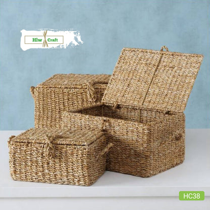 HC38 Full Set (3 PCS)