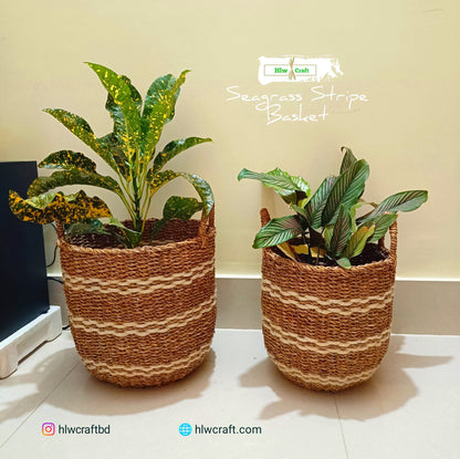 HC58 Full Set (3 PCS)