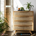 Segun Wood + Cane Cabinet CF04