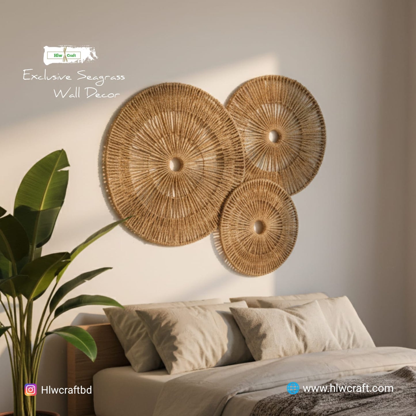 HC74 Full Set (3 PCS)