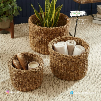 HC31 Full Set (3 PCS)