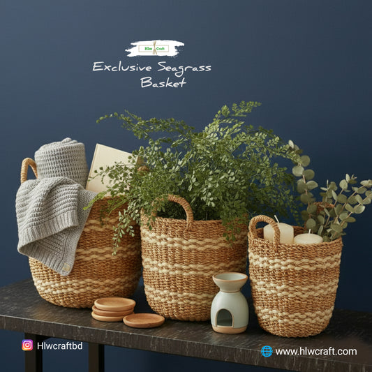 HC58 Full Set (3 PCS)