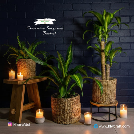 HC116 Full Set (3 PCS)