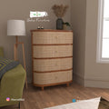 Segun Wood + Cane Cabinet 03